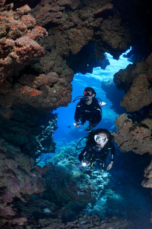 tauchen malta octopus garden