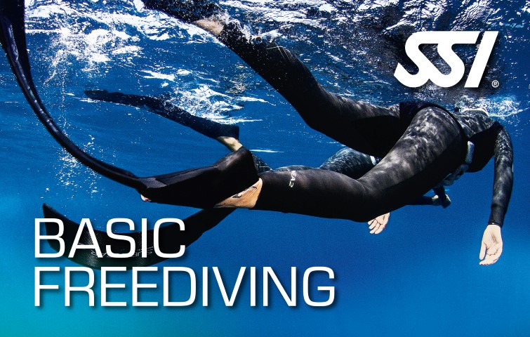 ssi freediving basic