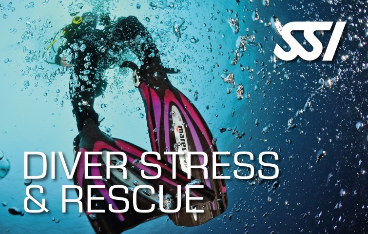 ssi tauchkurs stress rescue diver