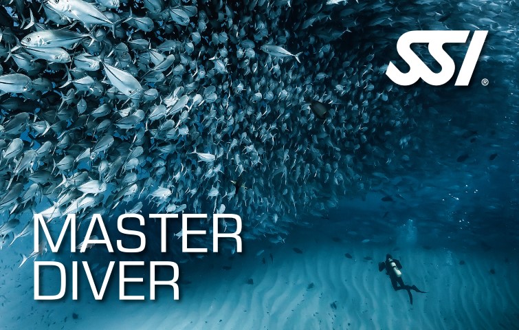 ssi tauchkurs master diver