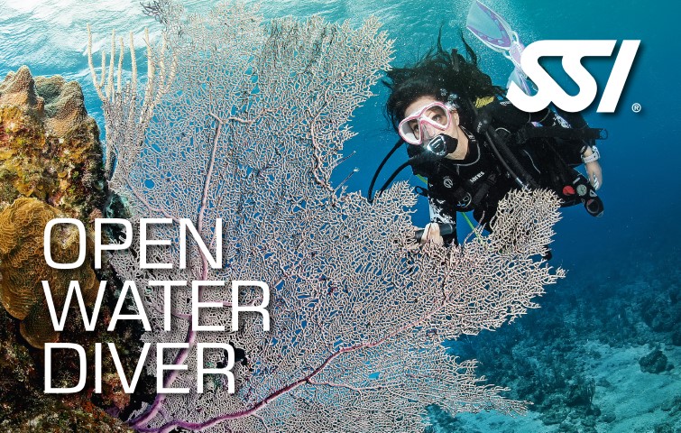ssi tauchkurs open water diver