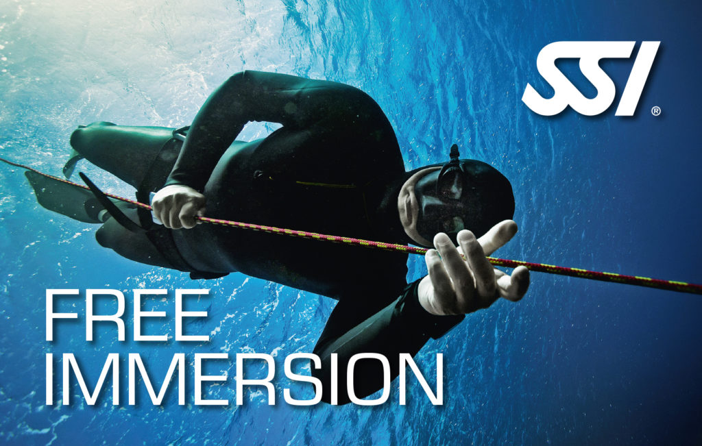 ssi freediving immersion