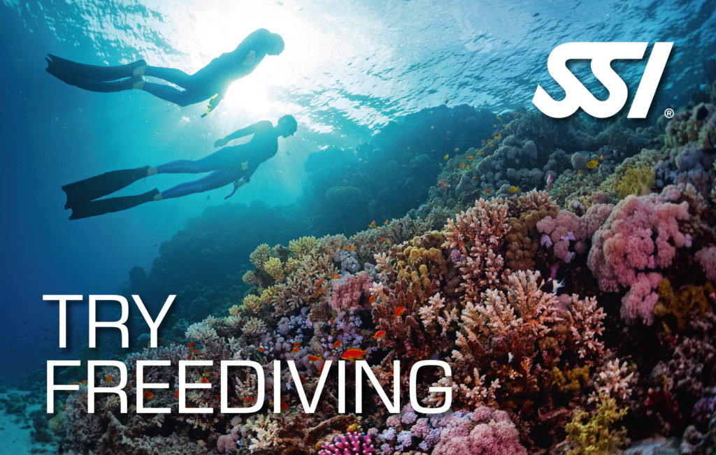 ssi freediving try